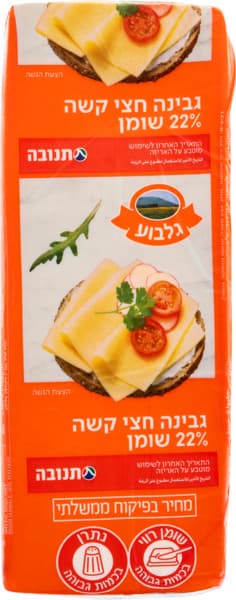גבינת גלבוע 22%