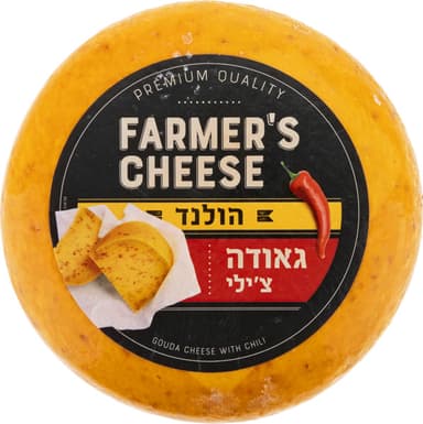 גבינה גאודה עם רוטב