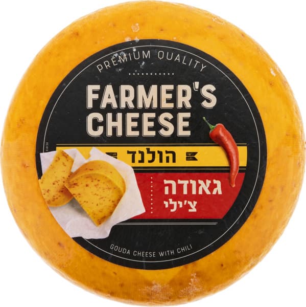 גבינה גאודה עם רוטב