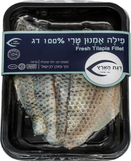 פילה אמנון טרי קג