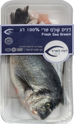 דניס שלם טרי קג