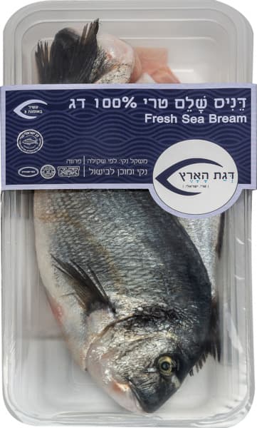 דניס שלם טרי קג