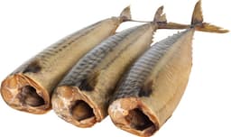 מקרל מעושן גדול הרמס