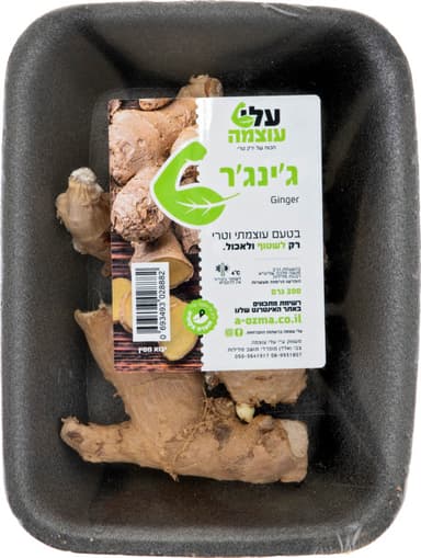 גינגר ארוז