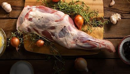 צעצוע ארנב פרווה