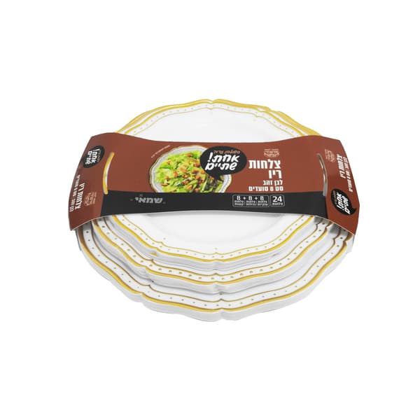 אחת שתיים - סט צלחות לבן כסף ריו 24 חלקים