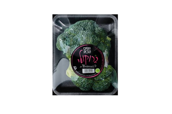 ברוקולי הקסם הירוק