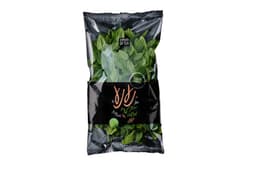 נענע ארוז יחידה