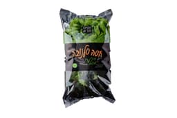 חסה סלנובה הקסם הירוק