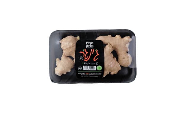 ג'ינג'ר הקסם הירוק