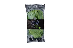 תרד עלים קופסא יחידה