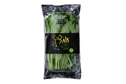 חמציץ הקסם הירוק