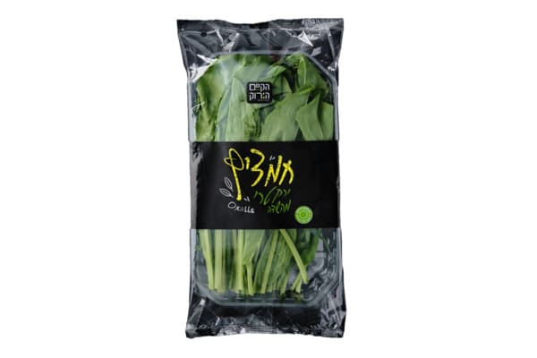 חמציץ הקסם הירוק