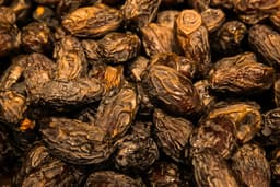 תמר מג'הול ענק