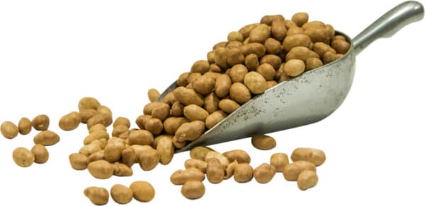 בוטן אמריקאי