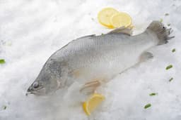 דג ברמונדי נקי טרי