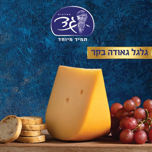 גבינת גאודה