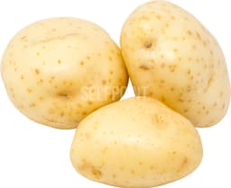 תפוא לבן גורמה      