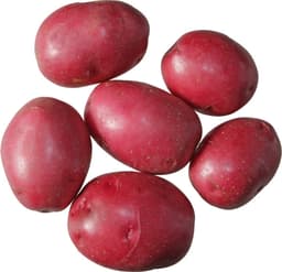 תפוחי אדמה אדום ארוז