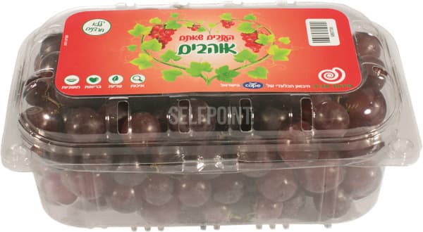 ענבים שחורים