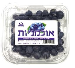 אוכמניות ארוז