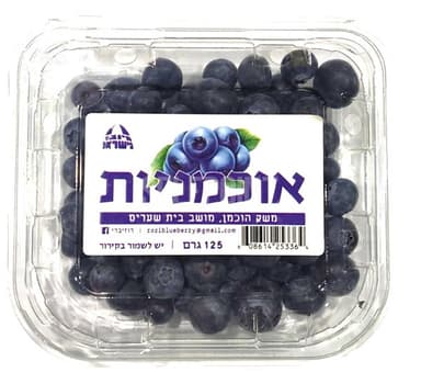 אוכמניות ארוז