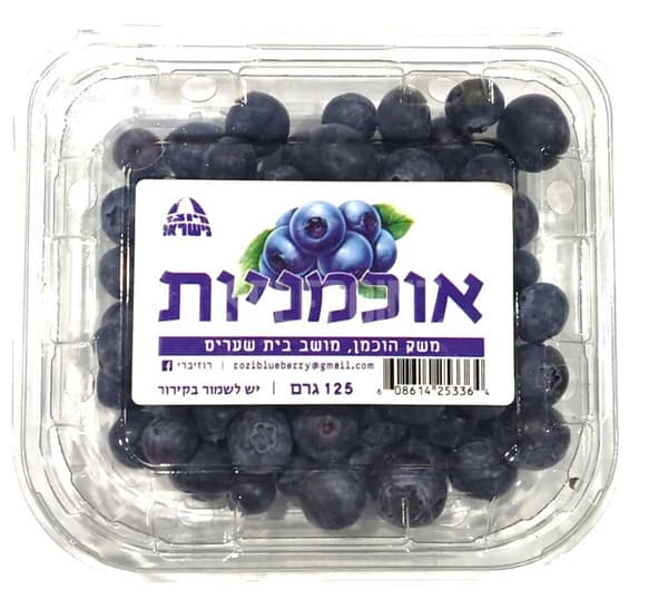 אוכמניות ארוז