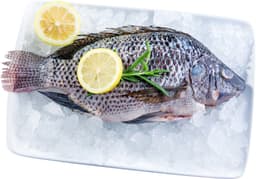 אמנון טרי נקי