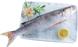 בורי נקי טרי