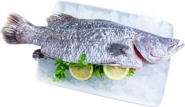 פלפלית בלימון חריף