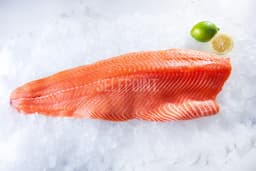 פילה סלמון שלם טרי