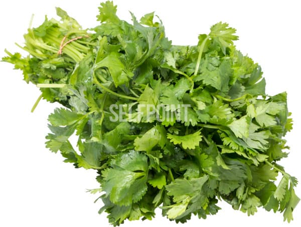 גרודינקה כפרית