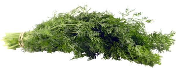 נקניק מורטדלה חדשה