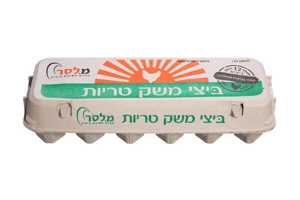 ביצים אריזון 12 גדול