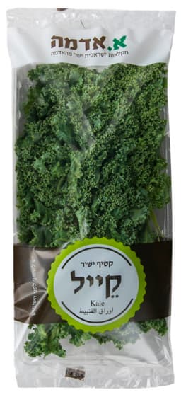 כרוב  על- קייל א.אדמה