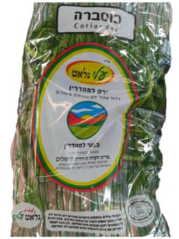 כוסברה גלאט עלים