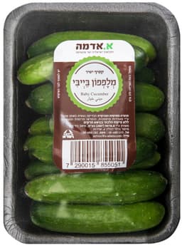 מלפפון בייבי יחידה