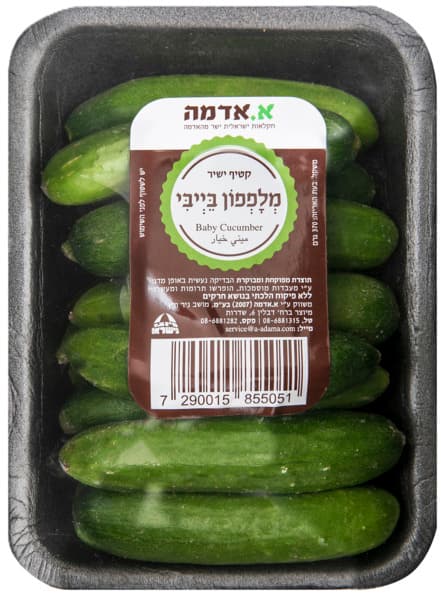 מלפפון בייבי יחידה