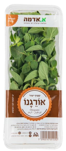 אורגנו