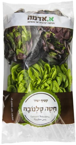 חסה ראשים 200 גר