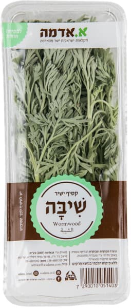 שיבה ליח'