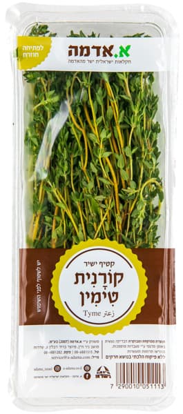 תבלין טימין טרי