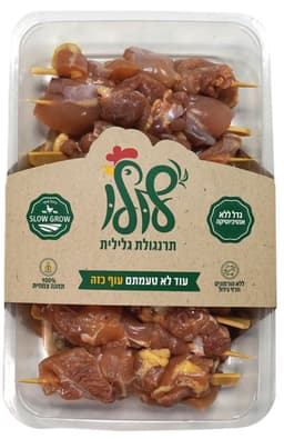 שיפודי פרגית פטם טרי