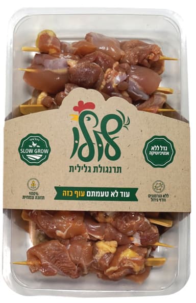 שיפודי פרגית פטם טרי