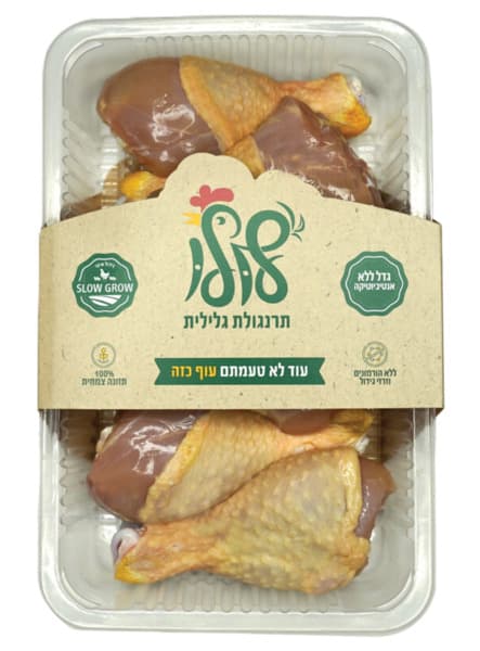 שוקיים פטם לולו טרי