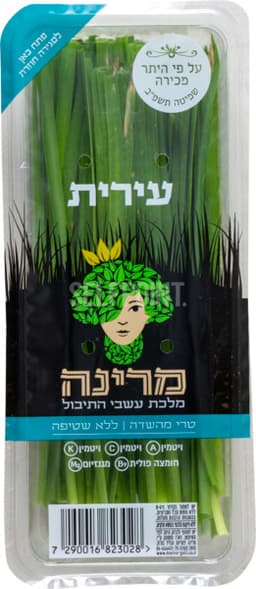 עירית