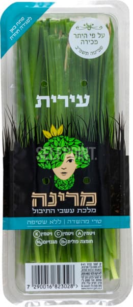 עירית