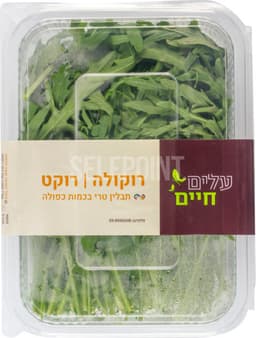 תבלין רוקולה /בזיליקום  100 גר