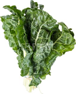 עלי סלק גלאט עלים