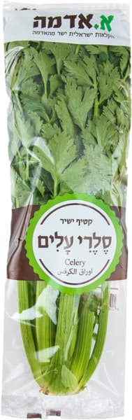 סלרי אמריקאי א.אדמה